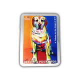 Rescue Dogs Postcard Set
