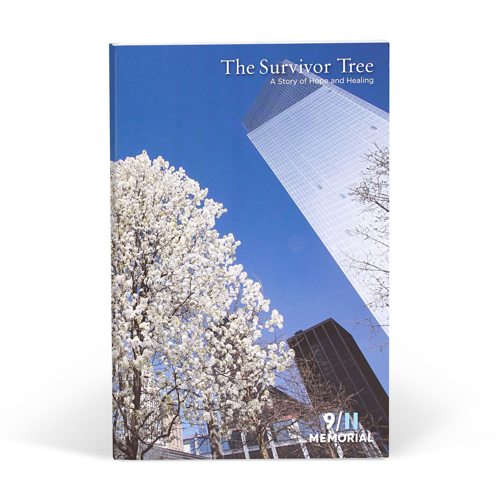 The Inspiring Story of THE SURVIVOR TREE in full bloom at the 9/11 MEMORIAL  in NEW YORK CITY 